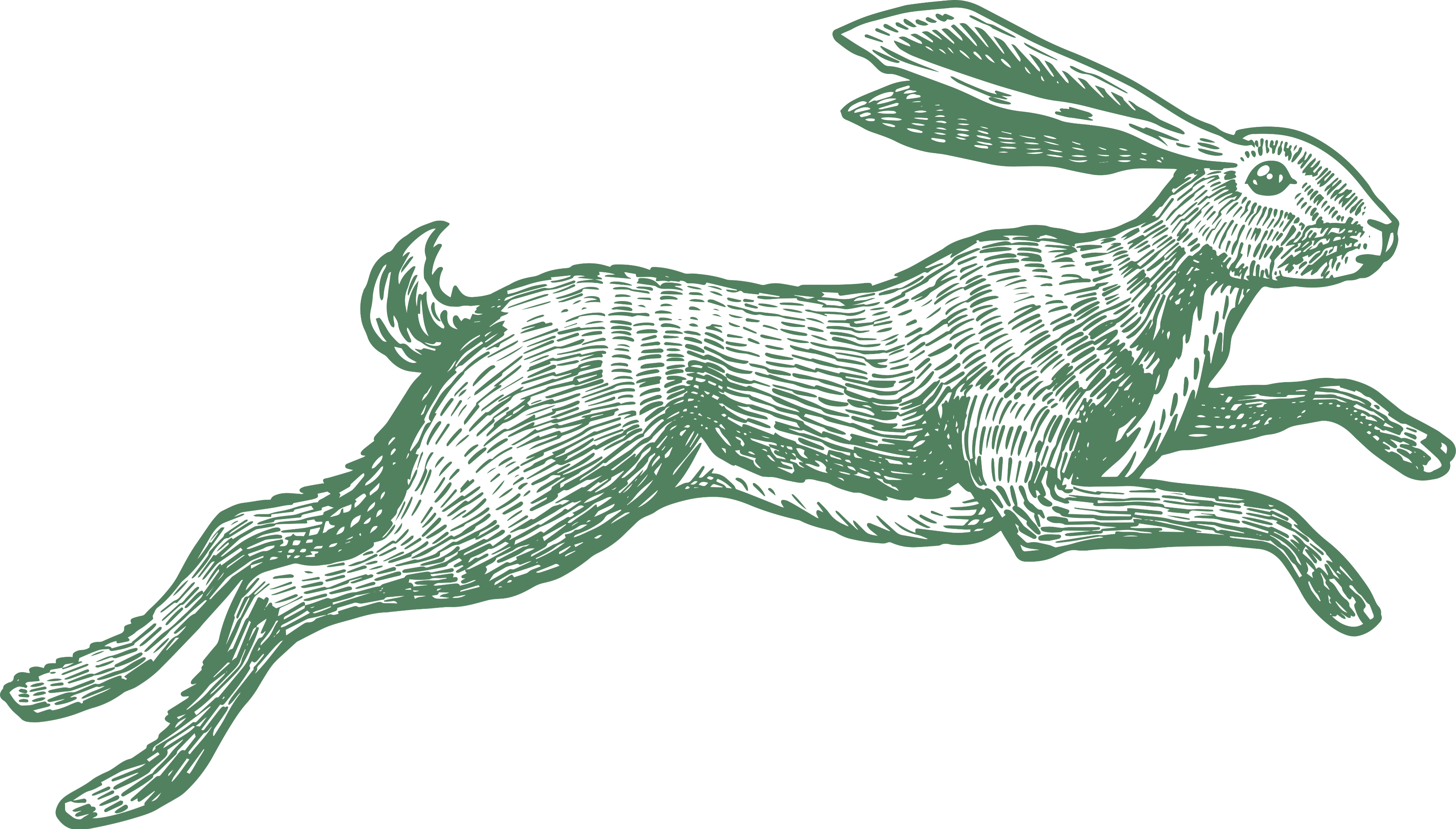 Loja de camisetas e produtos personalizados