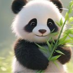 Loja de camisetas e produtos personalizados