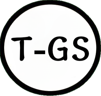 T-Geek Store - Camisetas e produtos personalizados