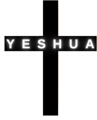 EVANGELION STORE - Camisetas e produtos personalizados