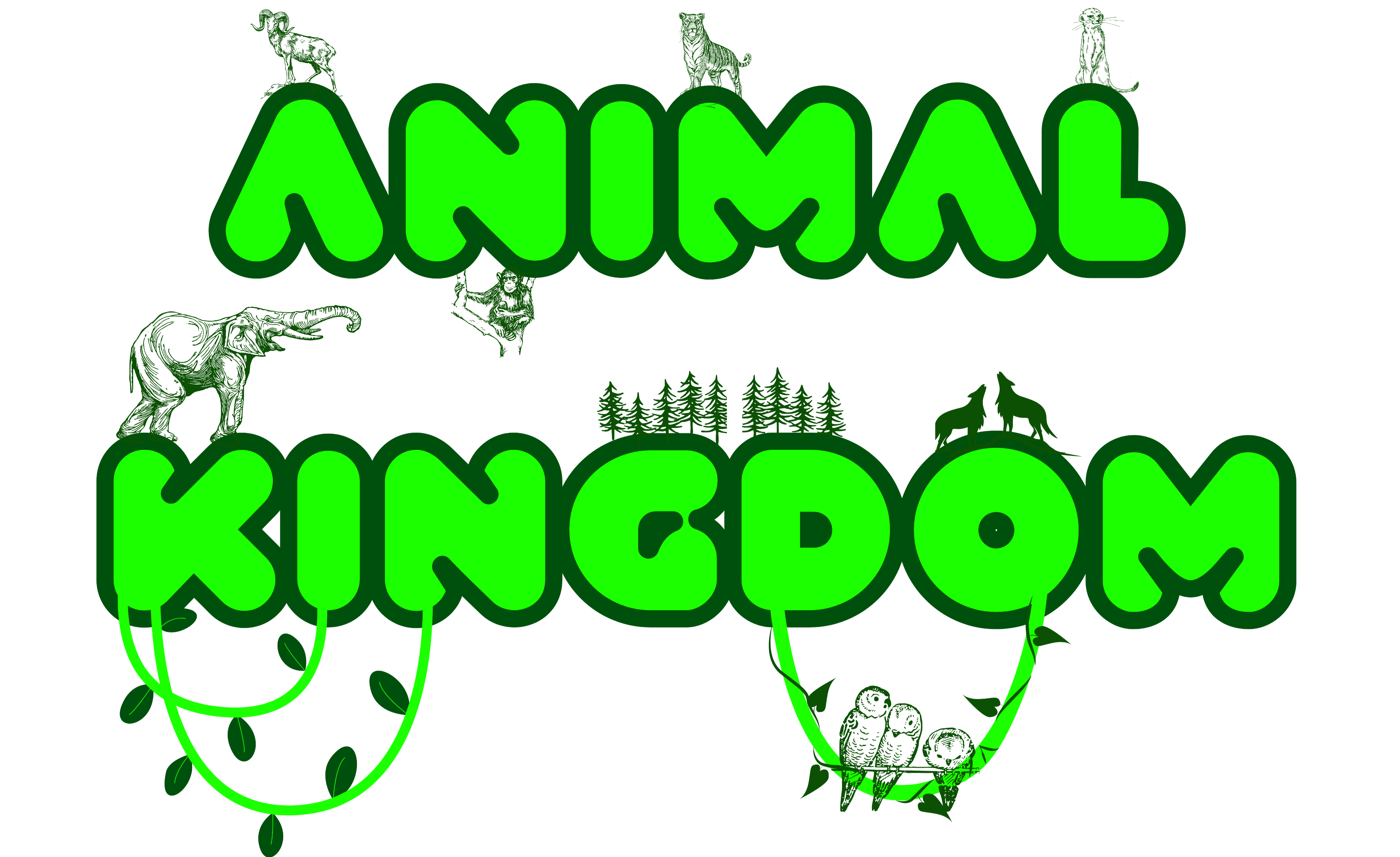 Loja Animal Kingdom - Camisetas e produtos personalizados