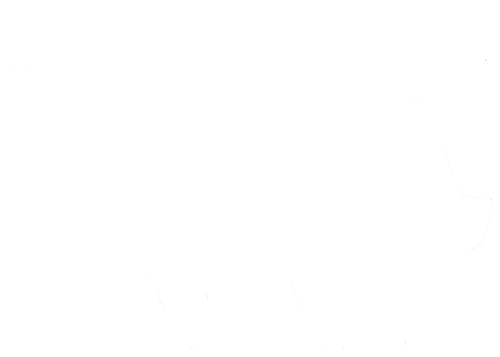 Porco Store - Camisetas e produtos personalizados