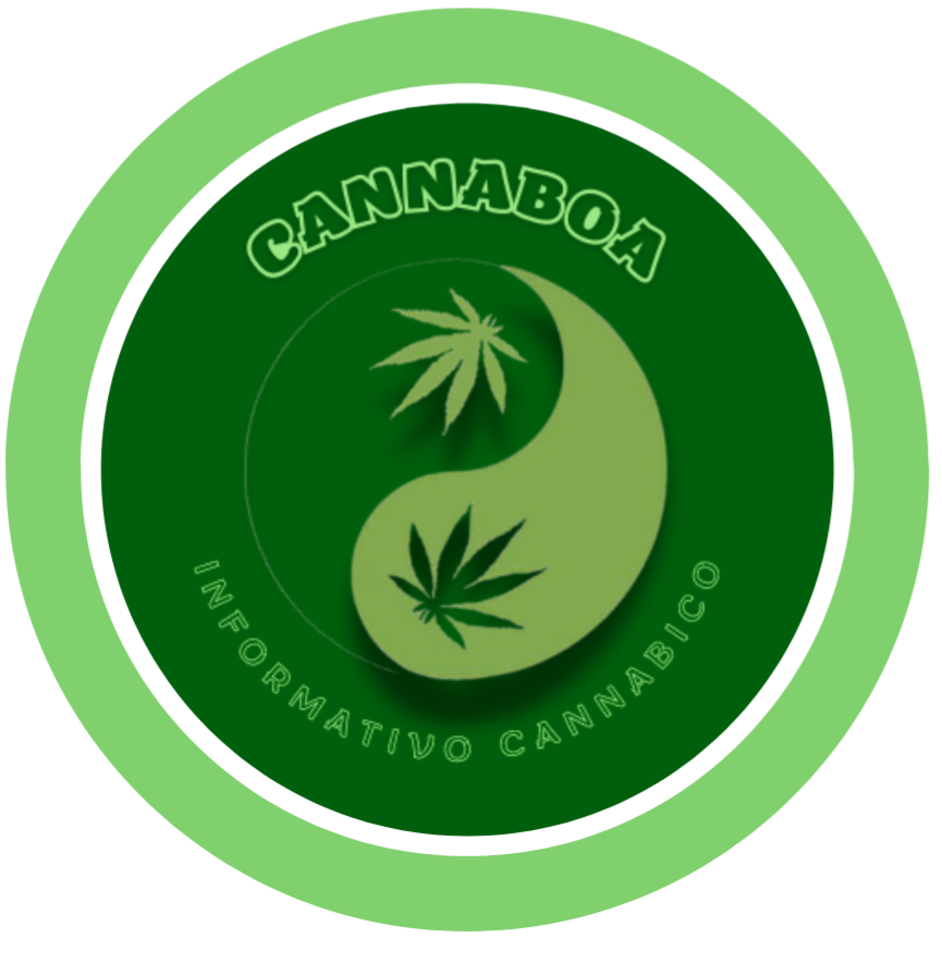 CannaBoa - Camisetas e produtos personalizados