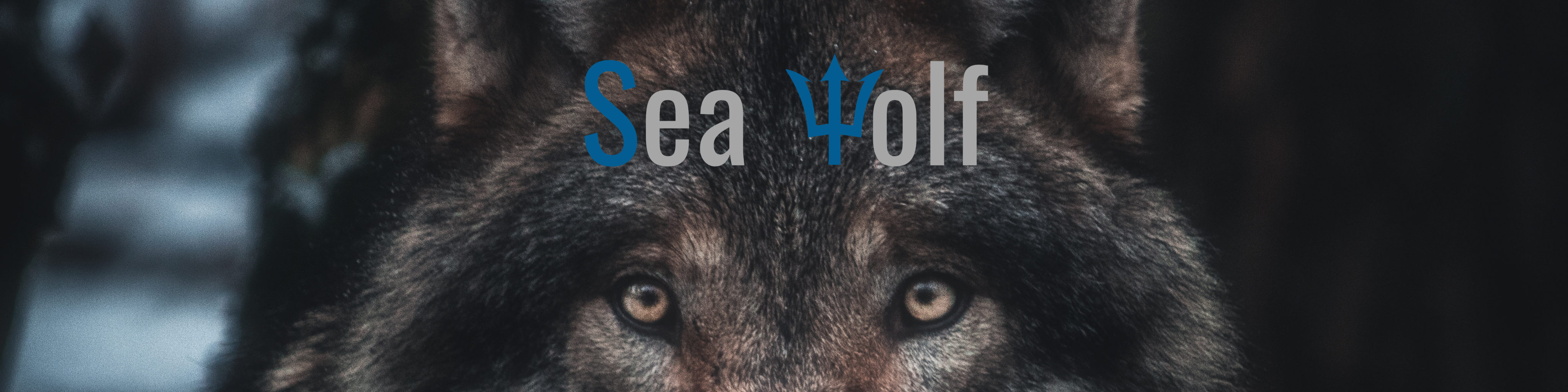 Nome da loja  Sea Wolf