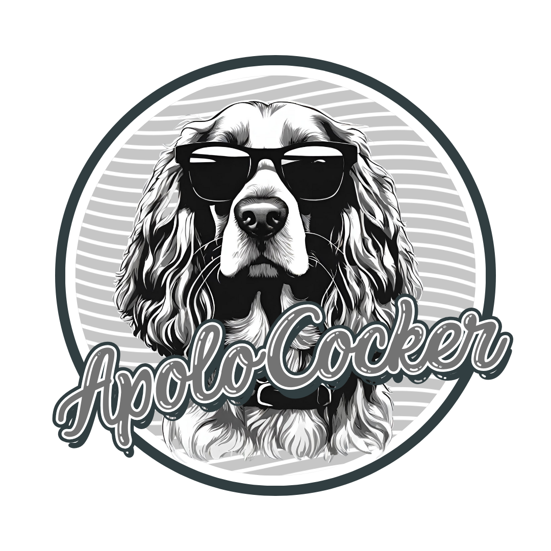 Loja de camisetas e produtos personalizados