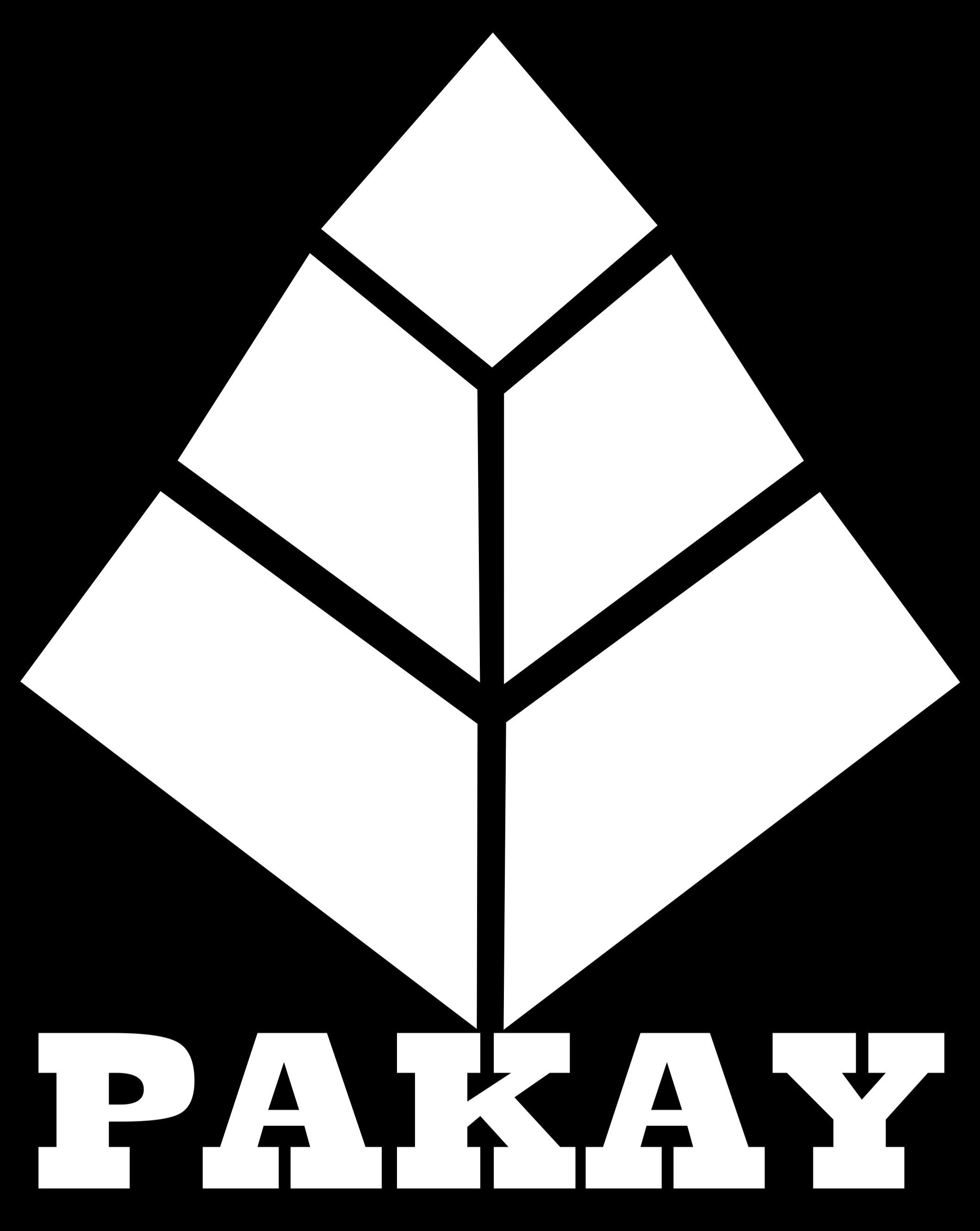 Pakay Store - Camisetas e produtos personalizados