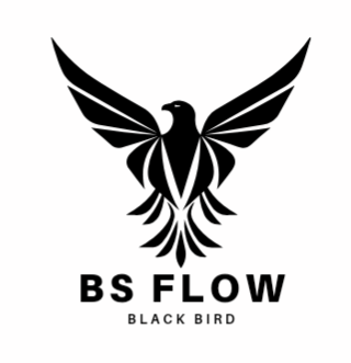 Bs Flow - Camisetas e produtos personalizados