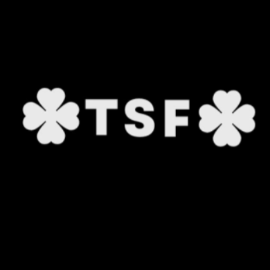 The Star Fashion  - Camisetas e produtos personalizados