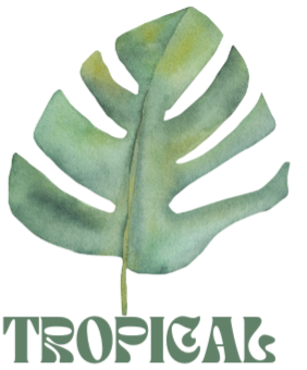 Loja de camisetas e produtos personalizados