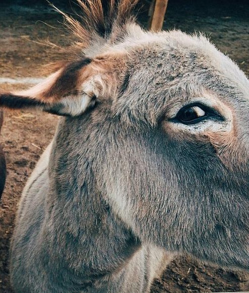 Loja de camisetas e produtos personalizados