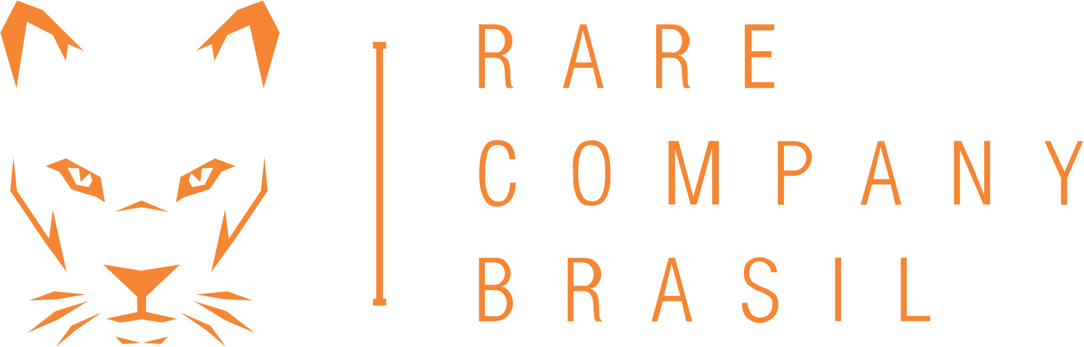 RARE COMPANY BRASIL - Camisetas e produtos personalizados