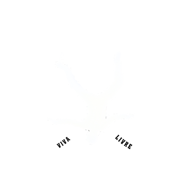 Portal Radical - Camisetas e produtos personalizados