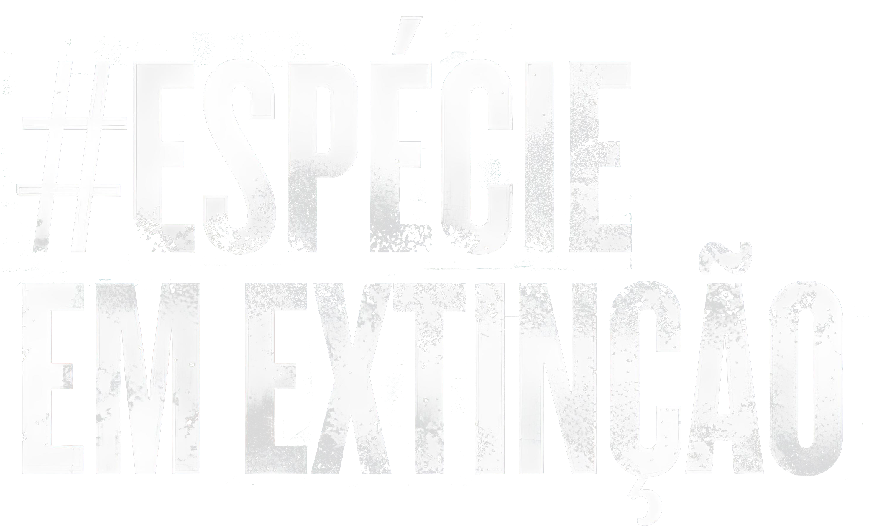 Loja de camisetas e produtos personalizados