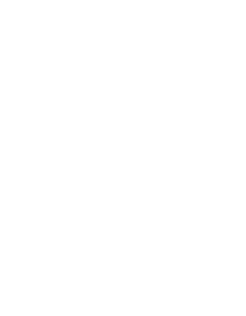 Ryzez Company