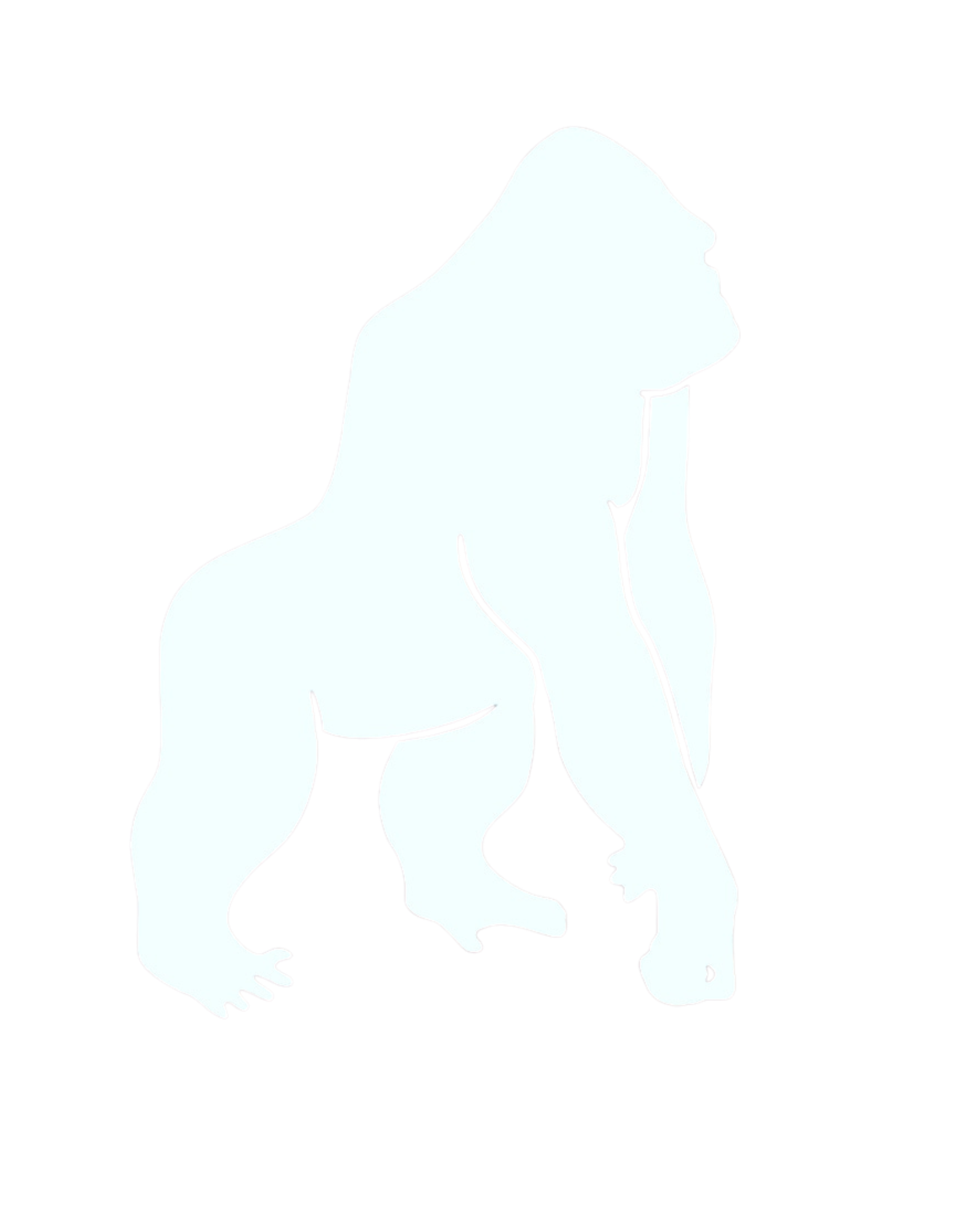 KING LIFE - Camisetas e produtos personalizados