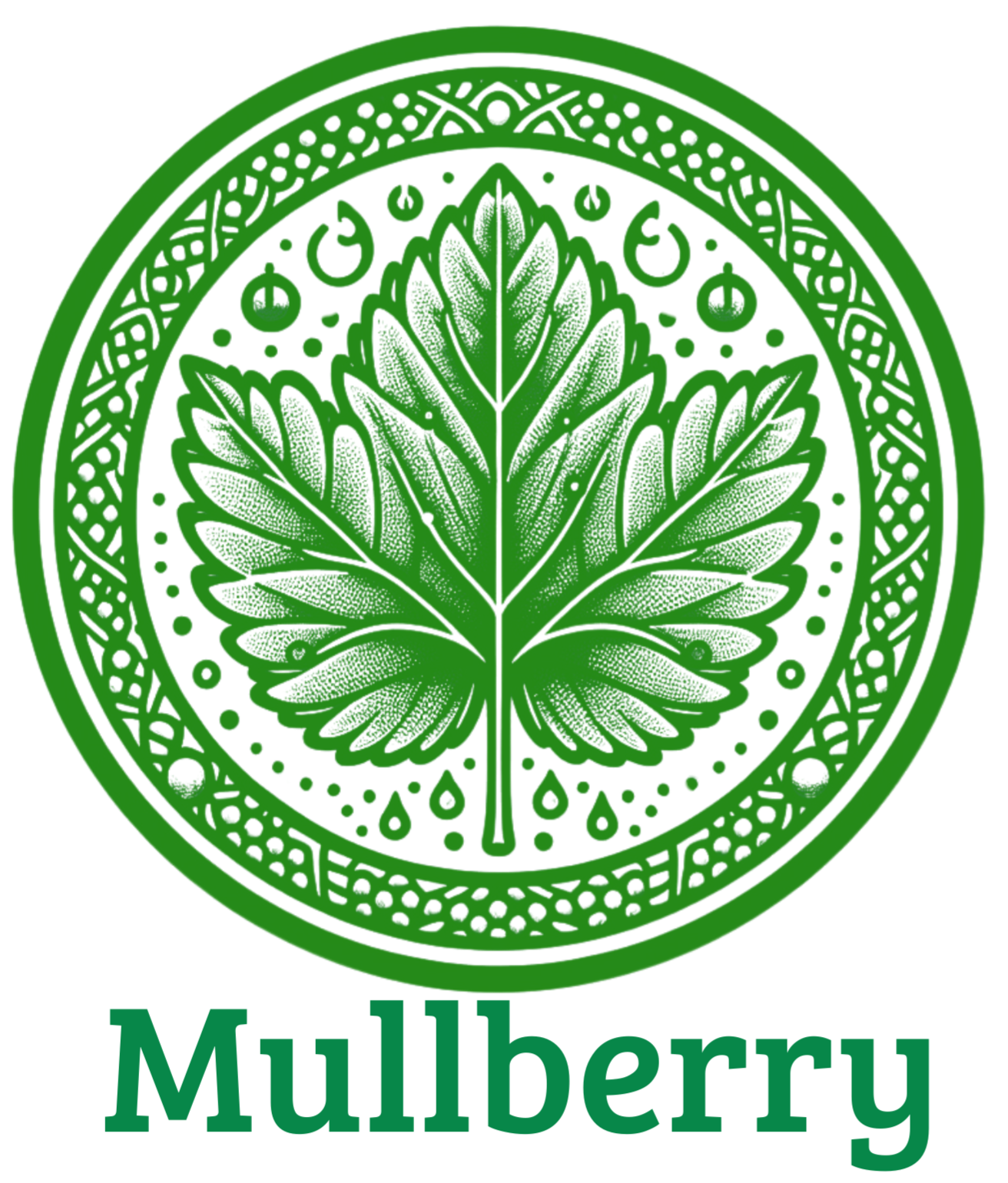 Mullberry
