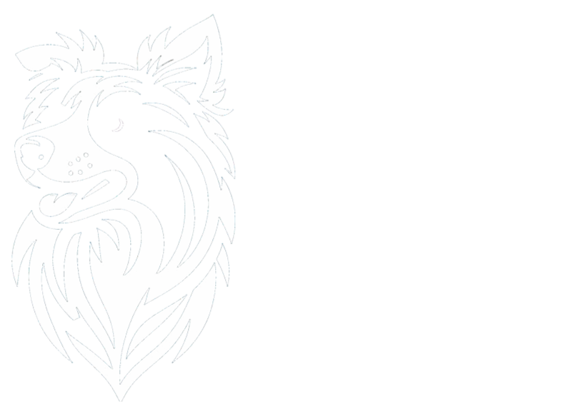 Border Culture - Camisetas e produtos personalizados
