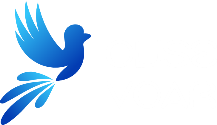 Ouse Voar - Camisetas e produtos personalizados