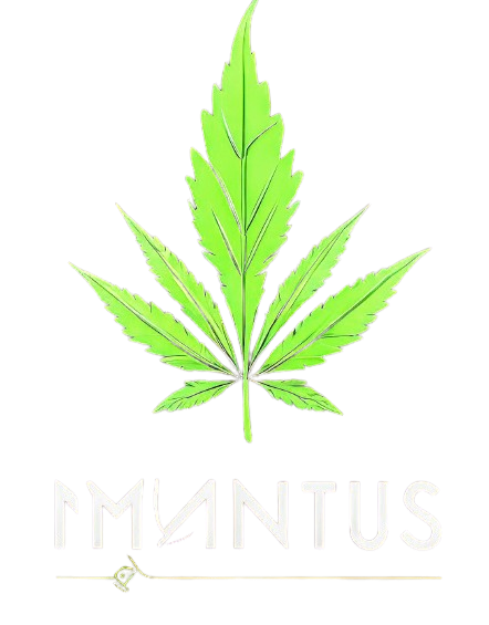 Mantus - Camisetas e produtos personalizados