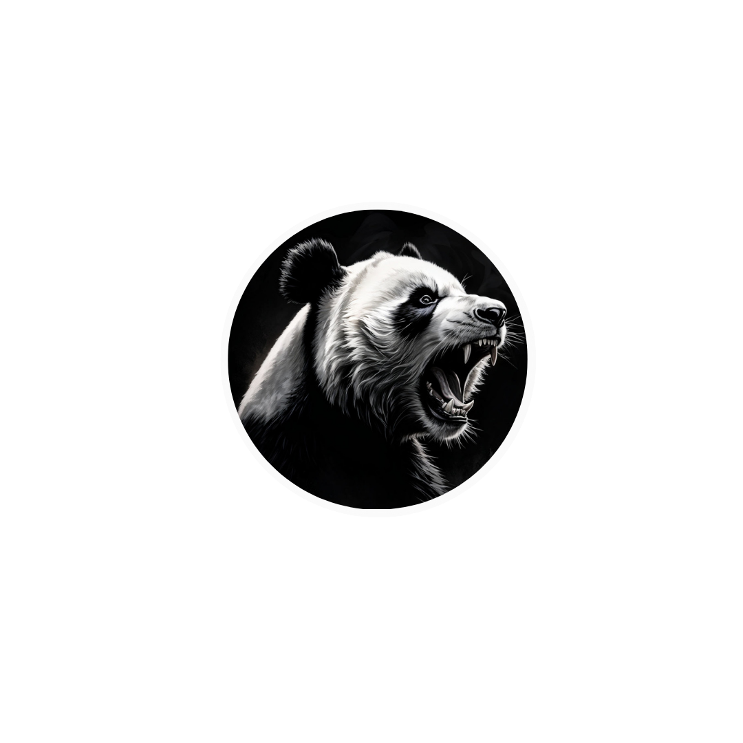 Gym Panda - Camisetas e produtos personalizados