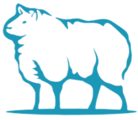 Loja de camisetas e produtos personalizados