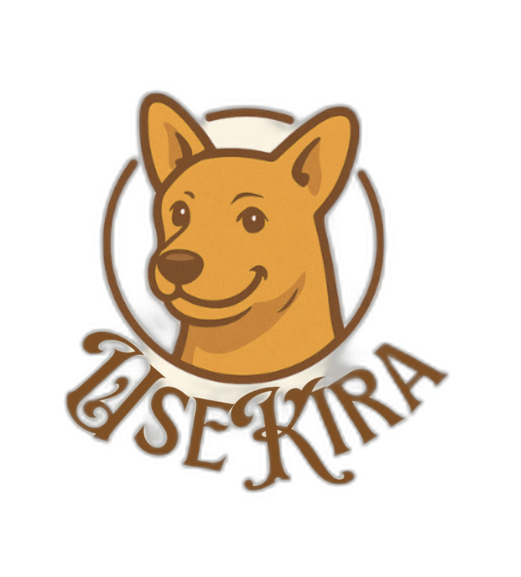 Loja de camisetas e produtos personalizados