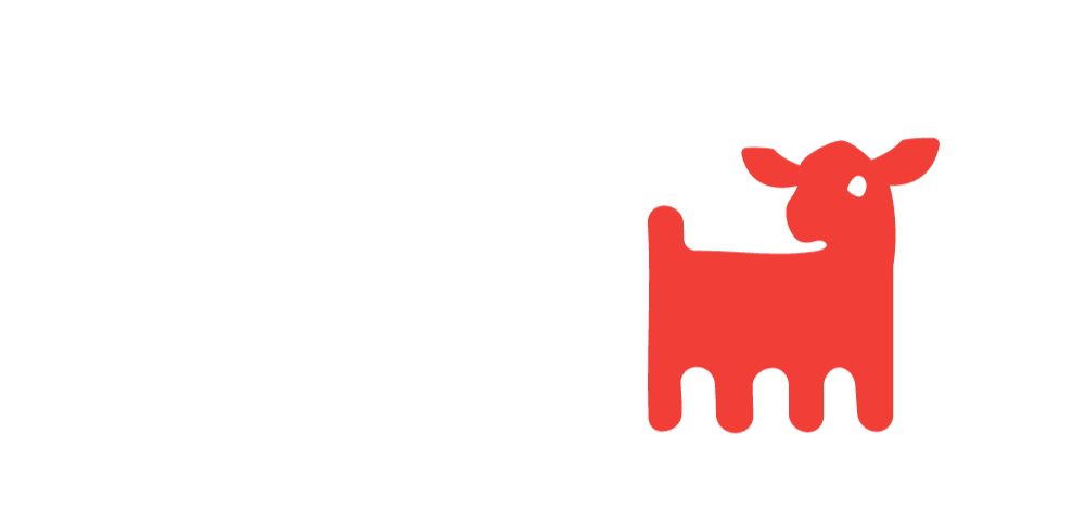 Eklesia Camiseteria