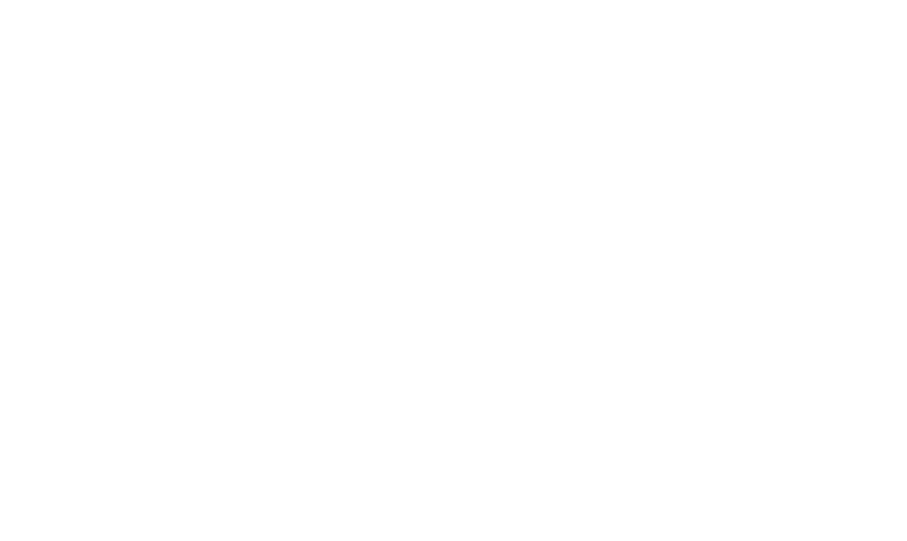 BOROS VISION