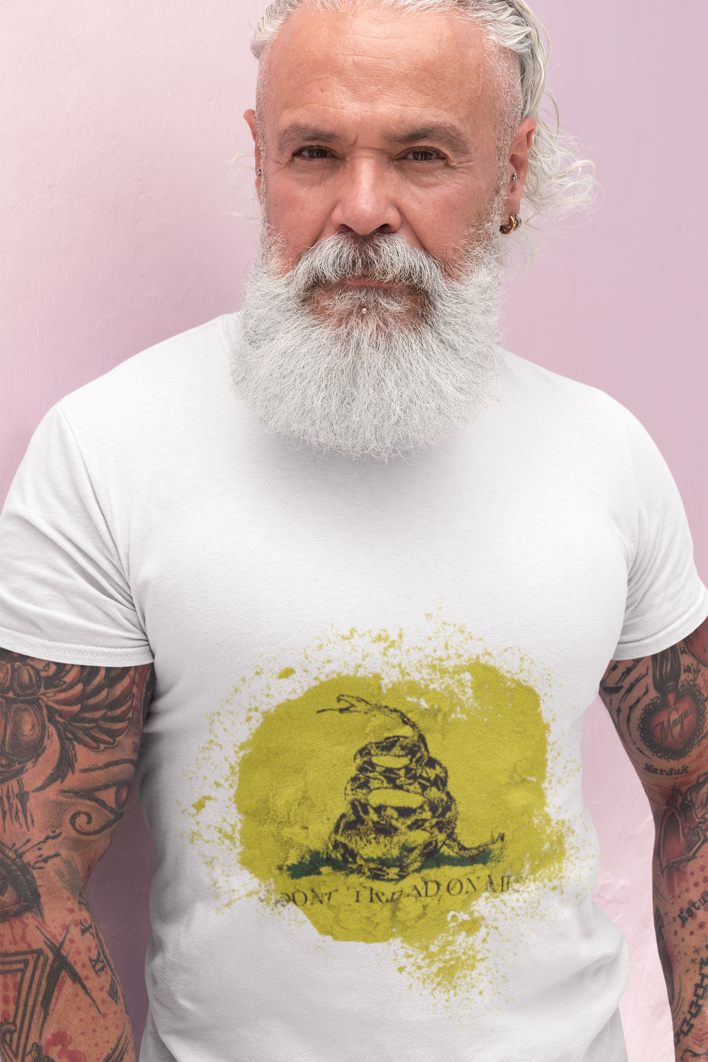 Bandeira de Gadsden (v. 02)