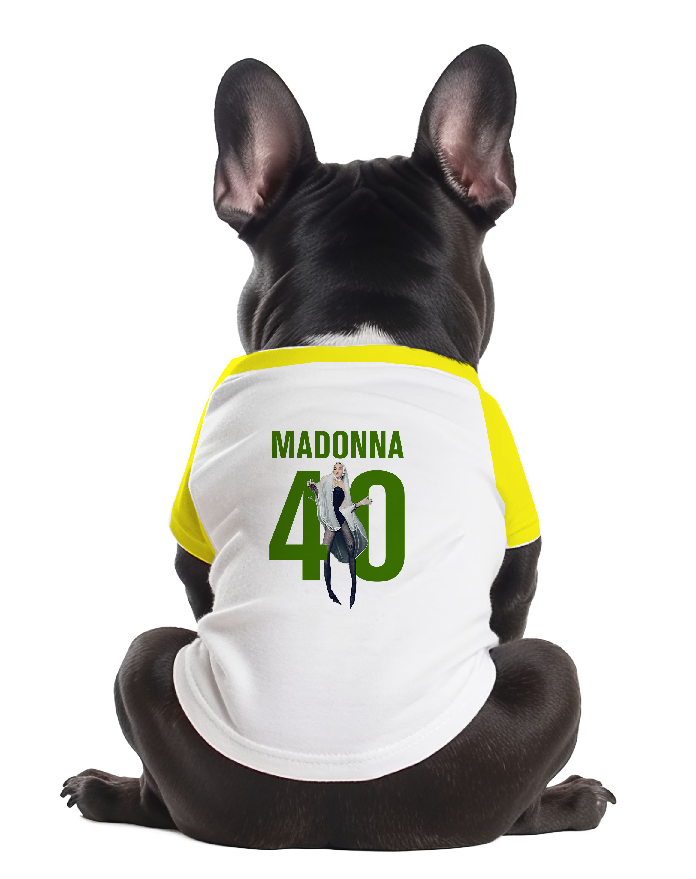 Camiseta Pet (Madonna 40 anos)