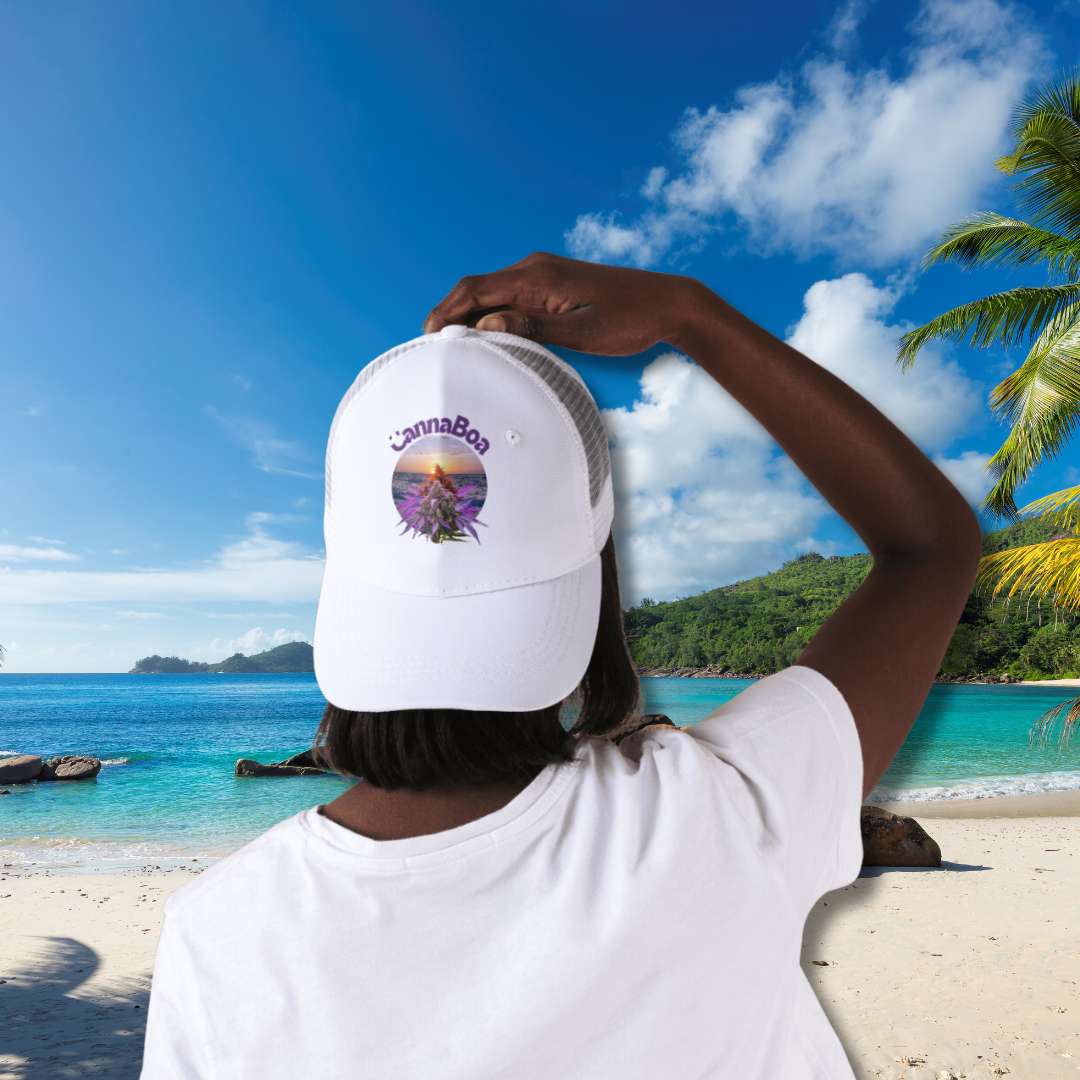 Boné com tela por do sol e flor roxa