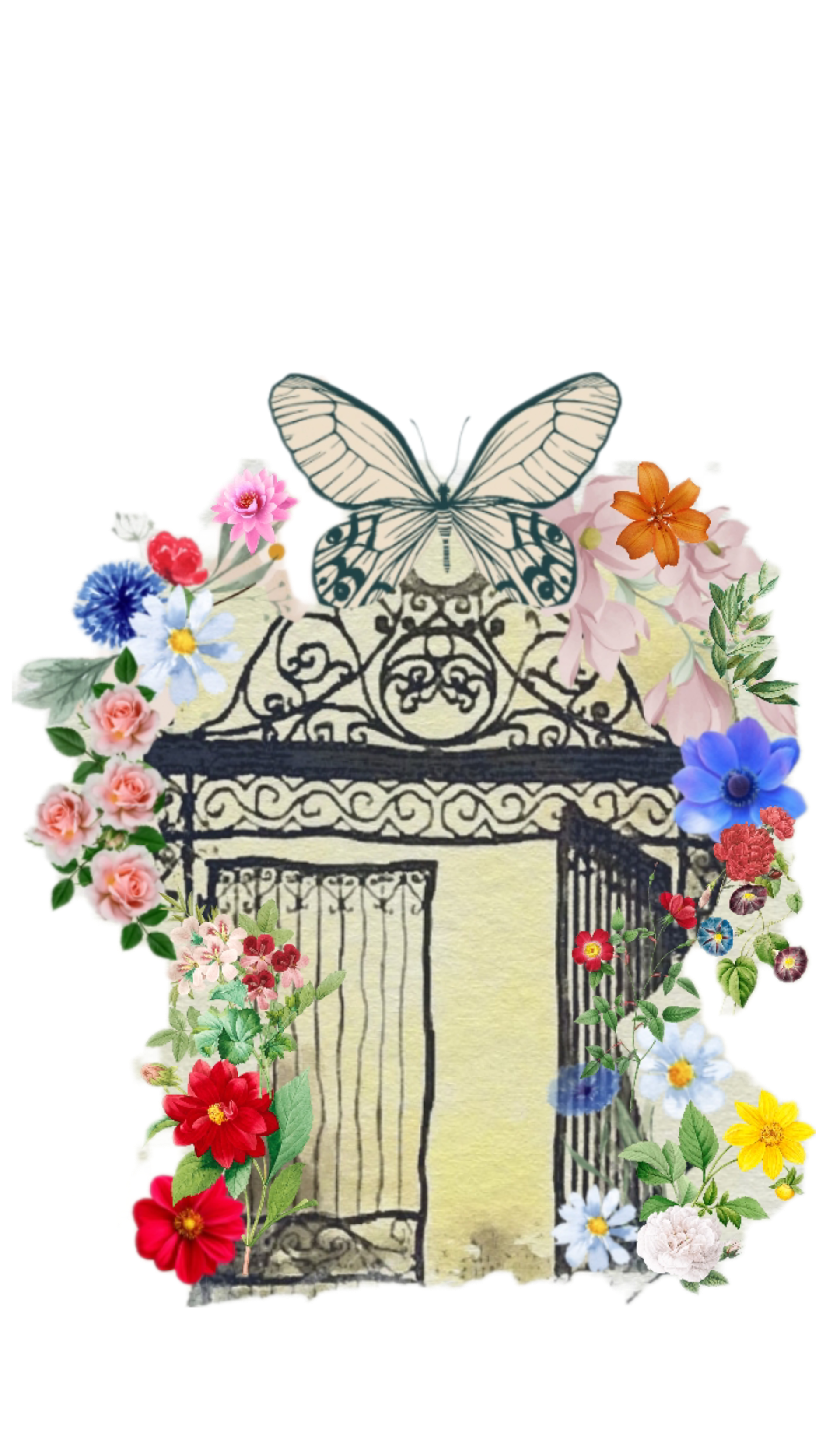 T Shirt O Jardim Secreto