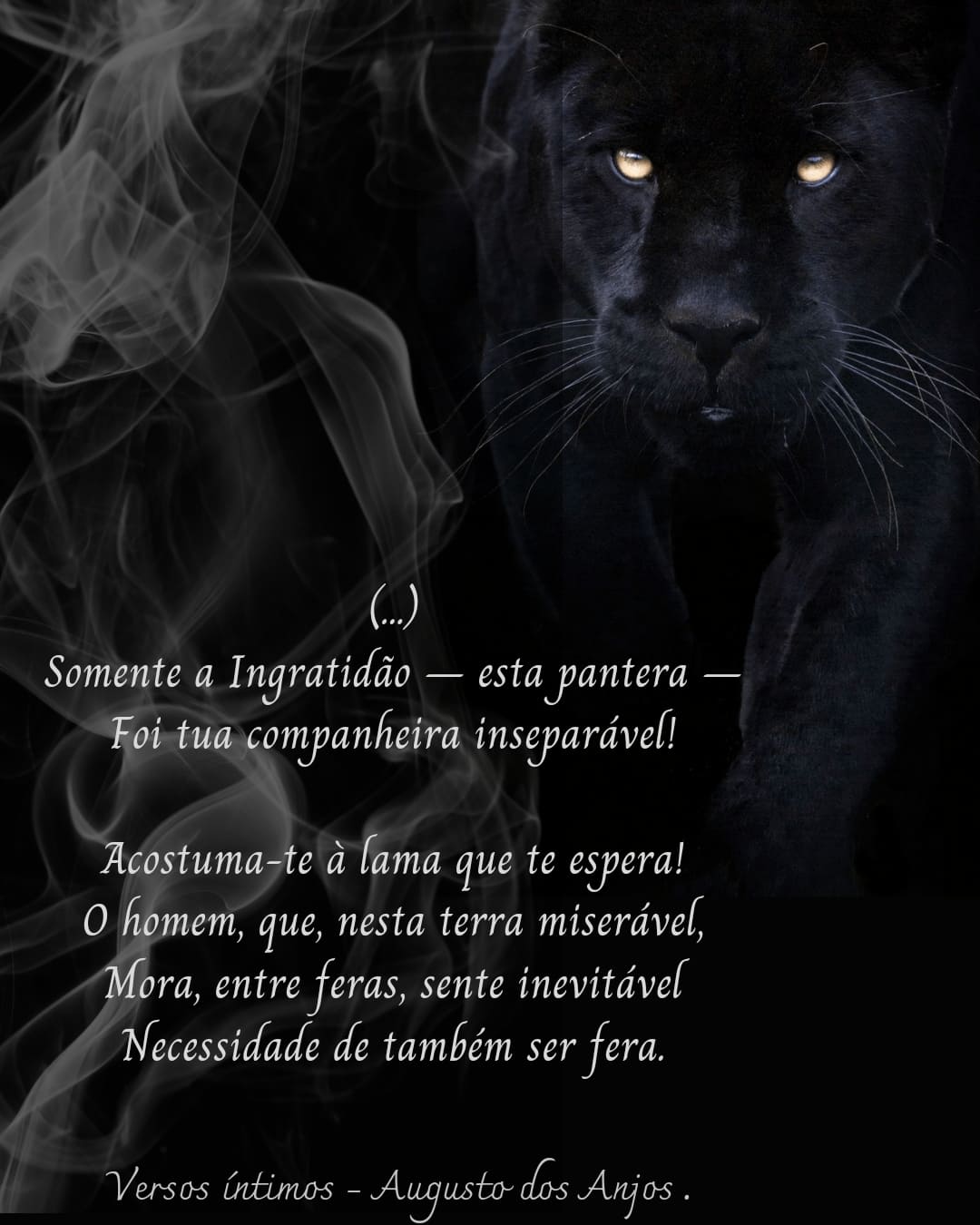 T Shirt Unissex Versos íntimos