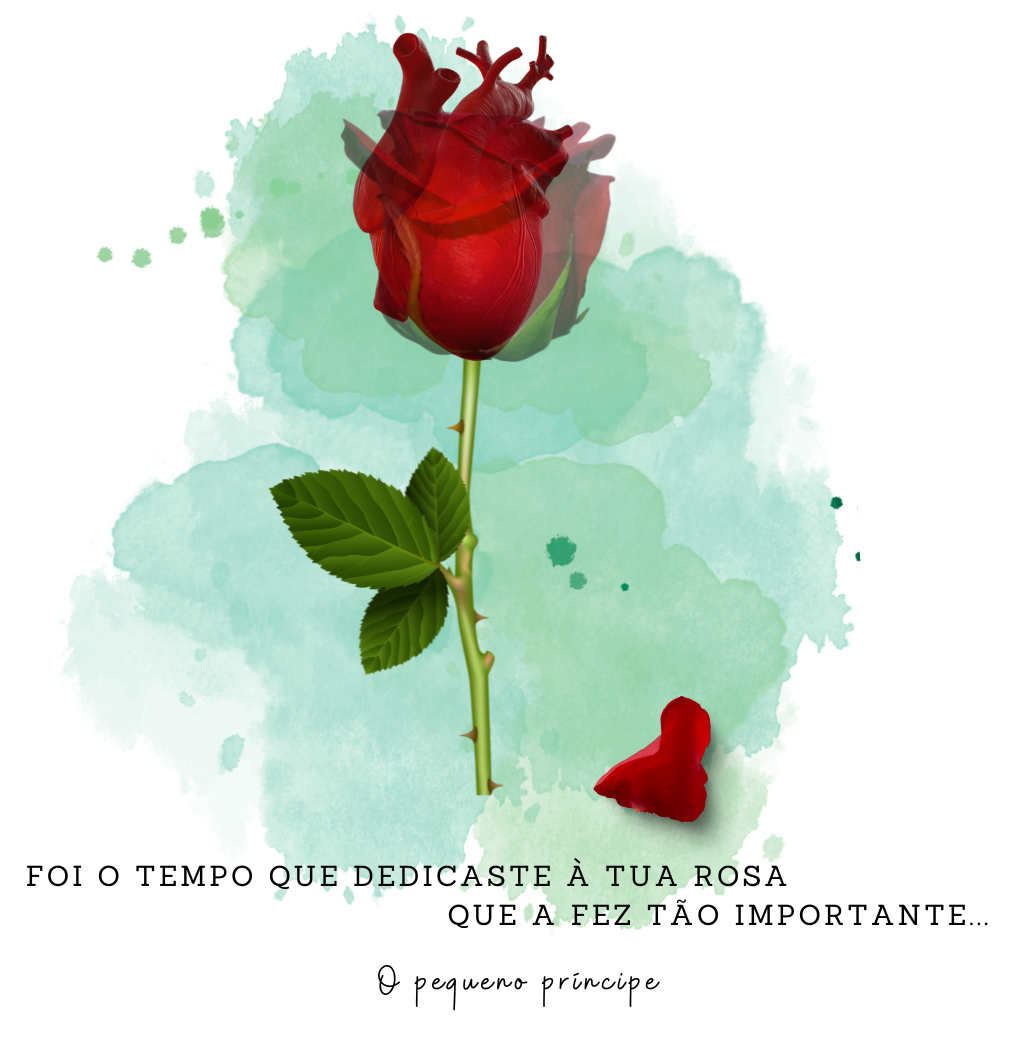 T-shirt Plus size a Rosa Pequeno Príncipe