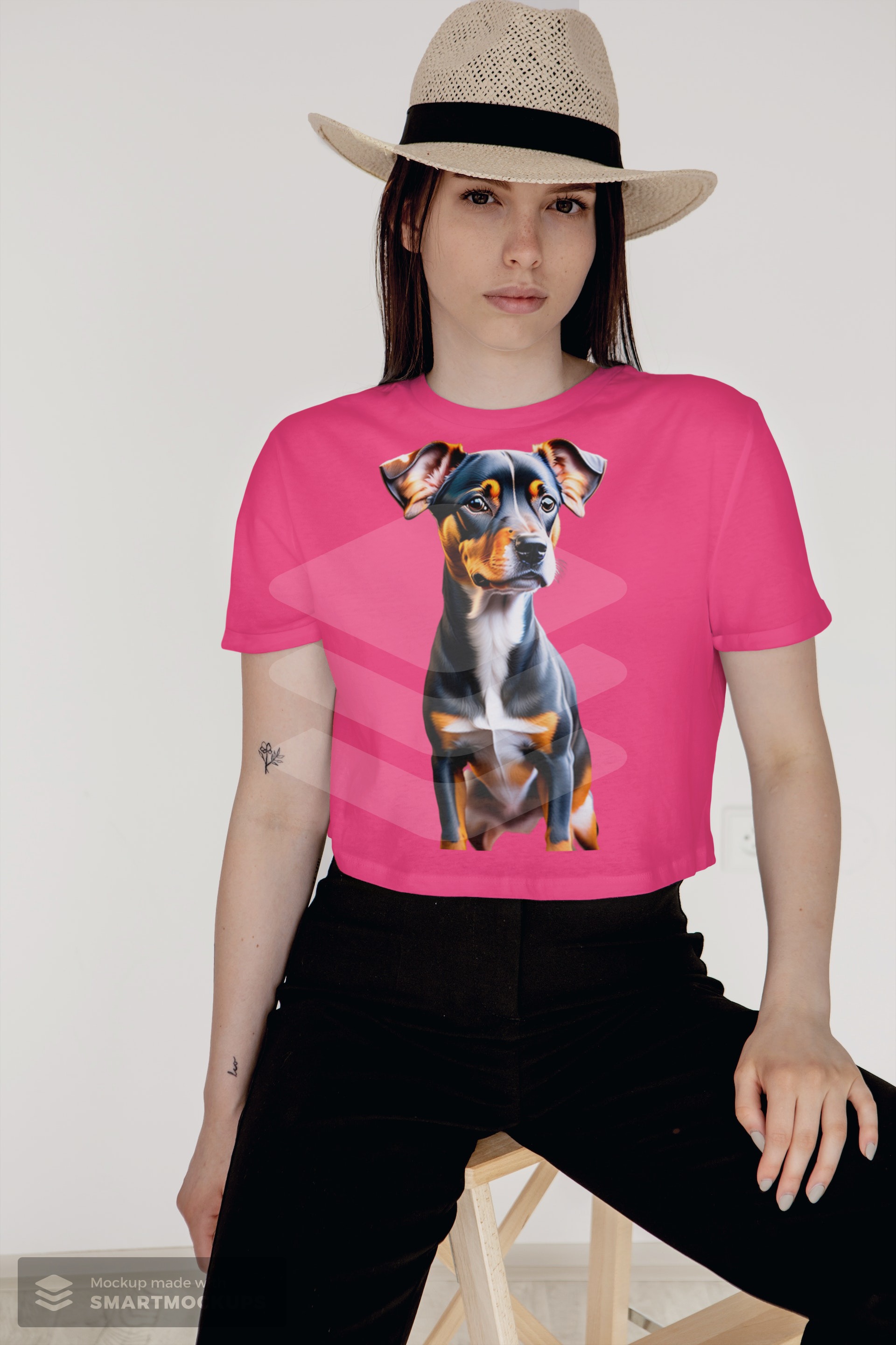 Nome do produto  coleção pinscher