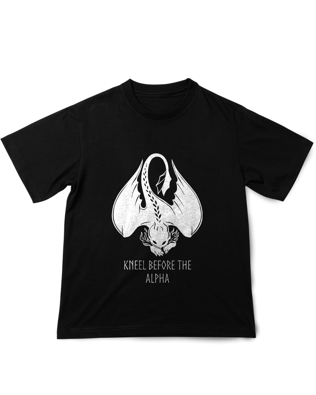 Camisa Como Treinar seu Dragão Banguela