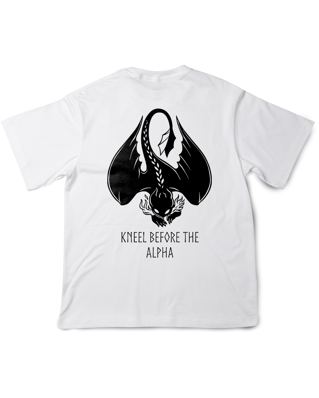 Camisa Como Treinar seu Dragão Banguela