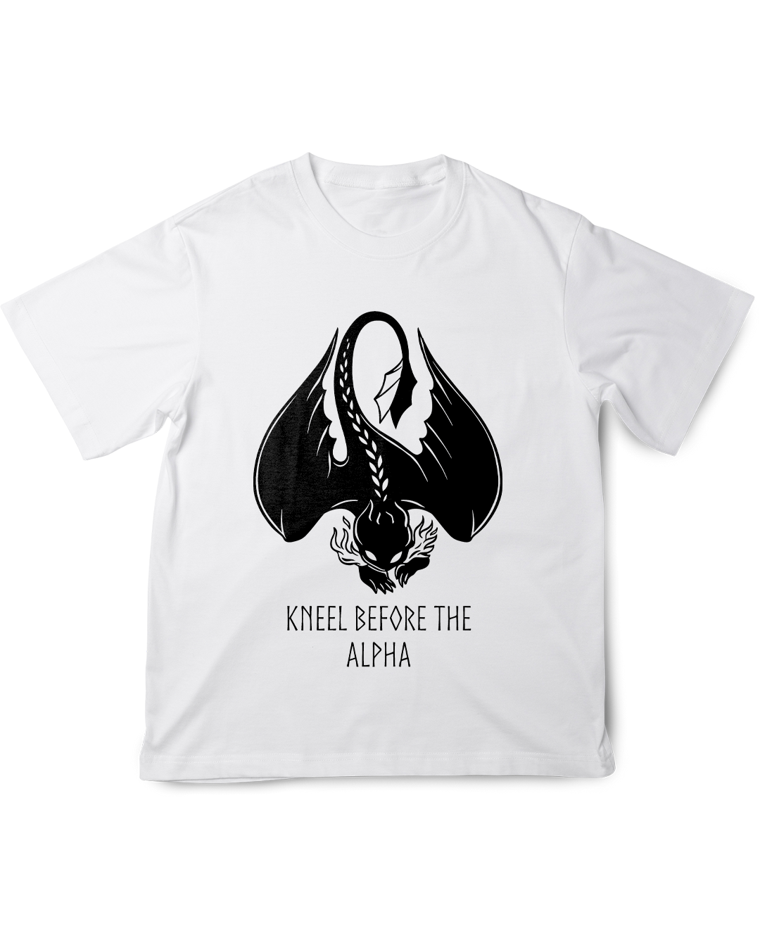 Camisa Como Treinar seu Dragão Banguela