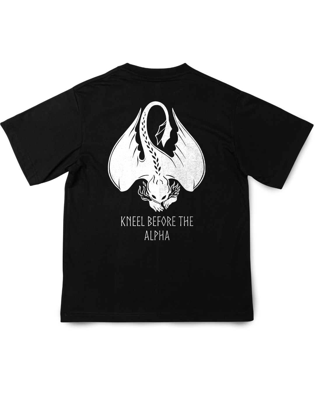 Camisa Como Treinar seu Dragão Banguela