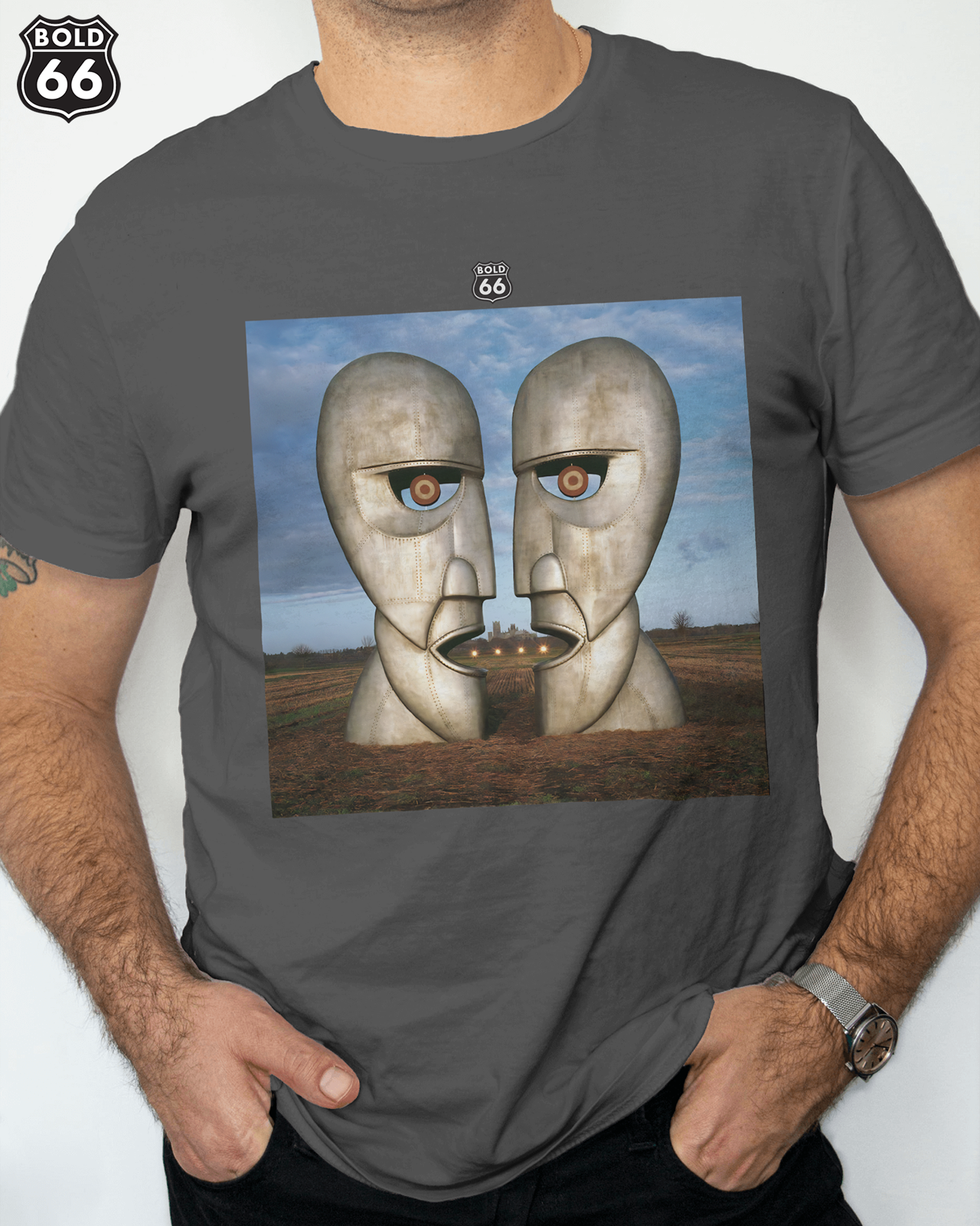 COLEÇÃO MEU DISCO - Pink Floyd - The Division Bell