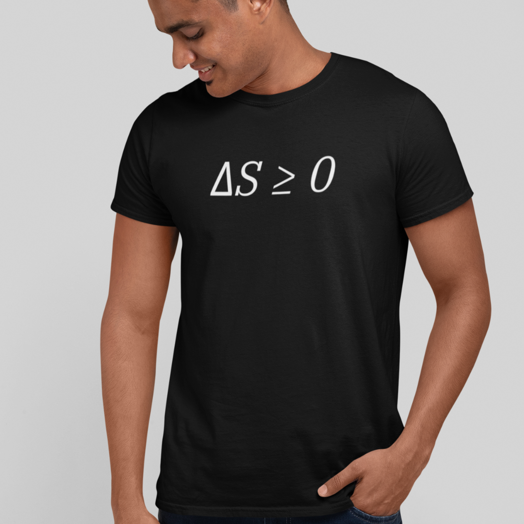 Camiseta Exatas 2° Lei Termodinâmica Masculina
