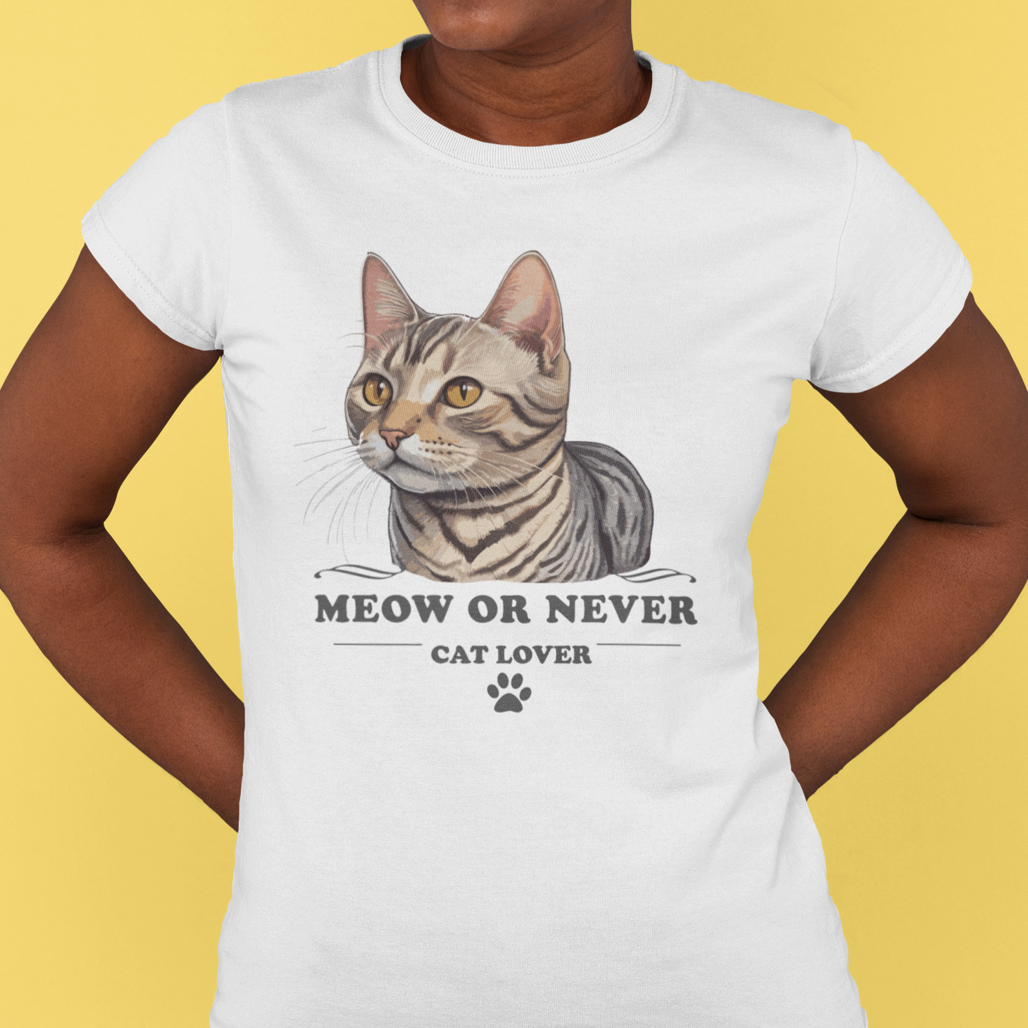 BABY LONG MEOW OR NEVER