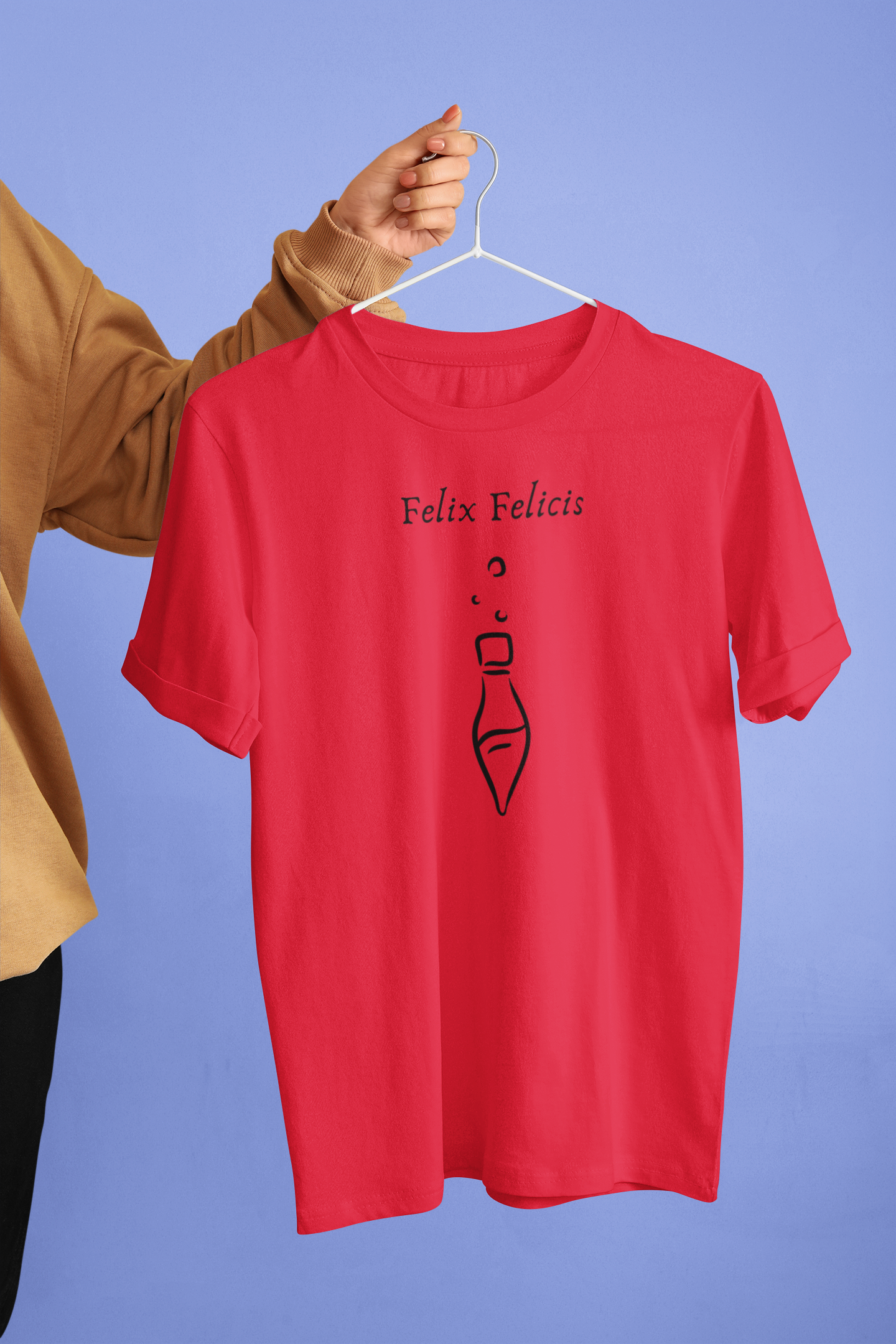 FELIX - COLEÇÃO HP