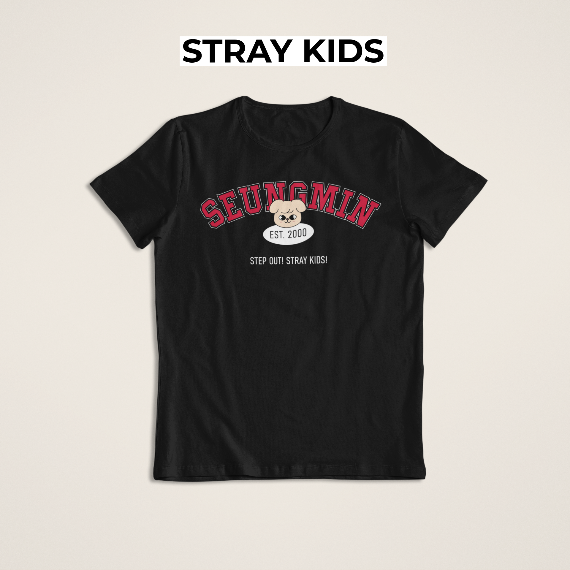 Camiseta SEUNGMIN - STRAY KIDS
