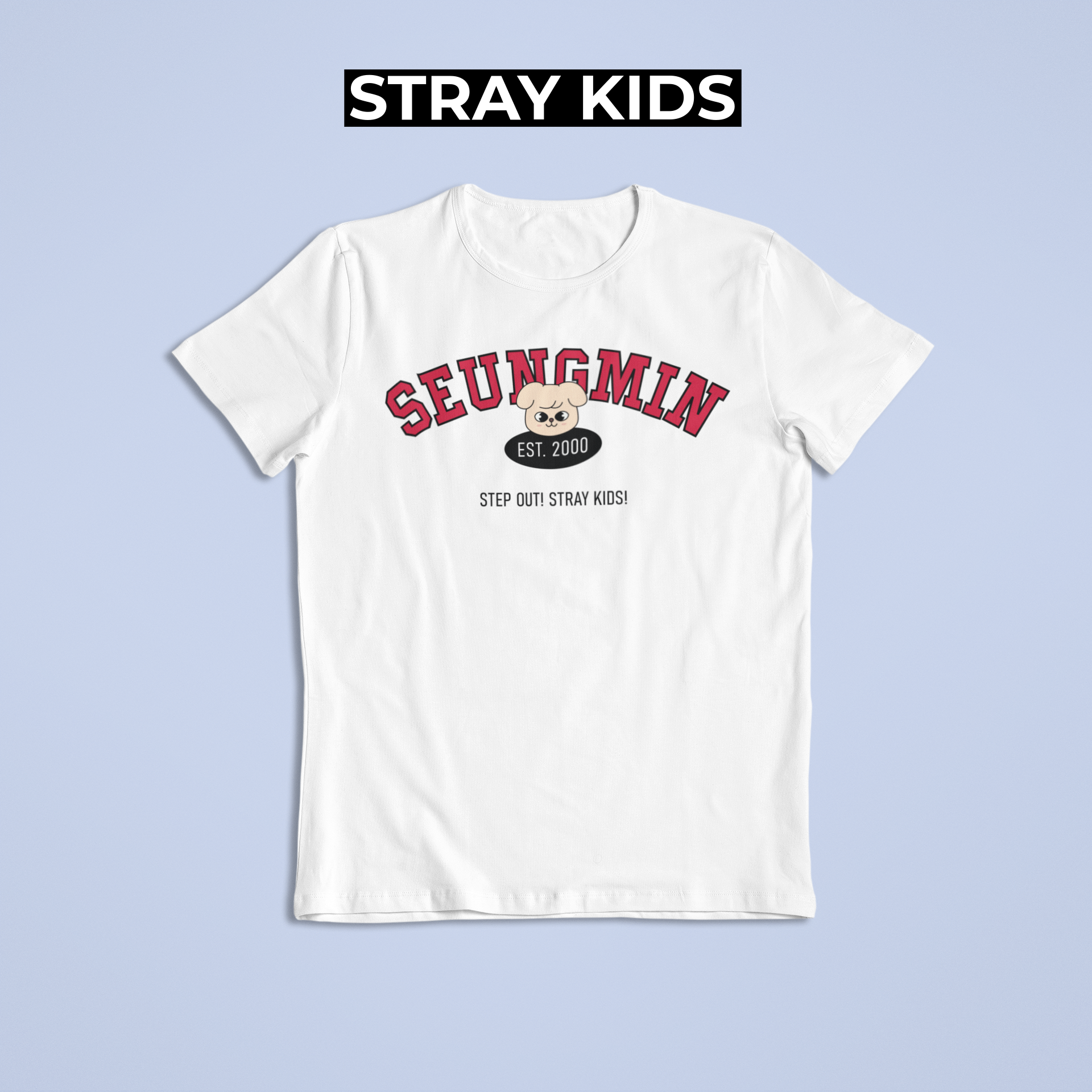 Camiseta SEUNGMIN - STRAY KIDS