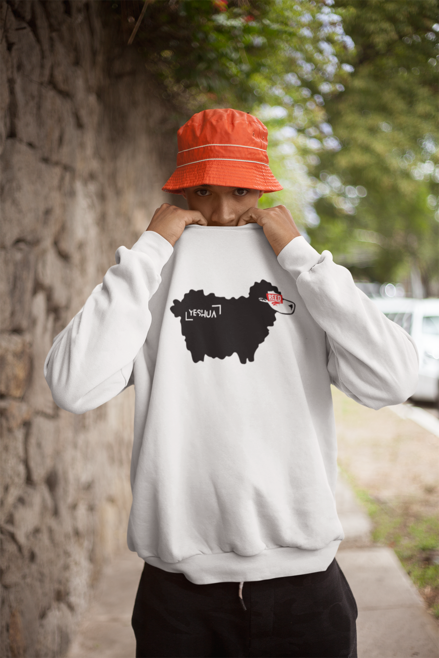 MOLETOM - CORDEIRO REED 