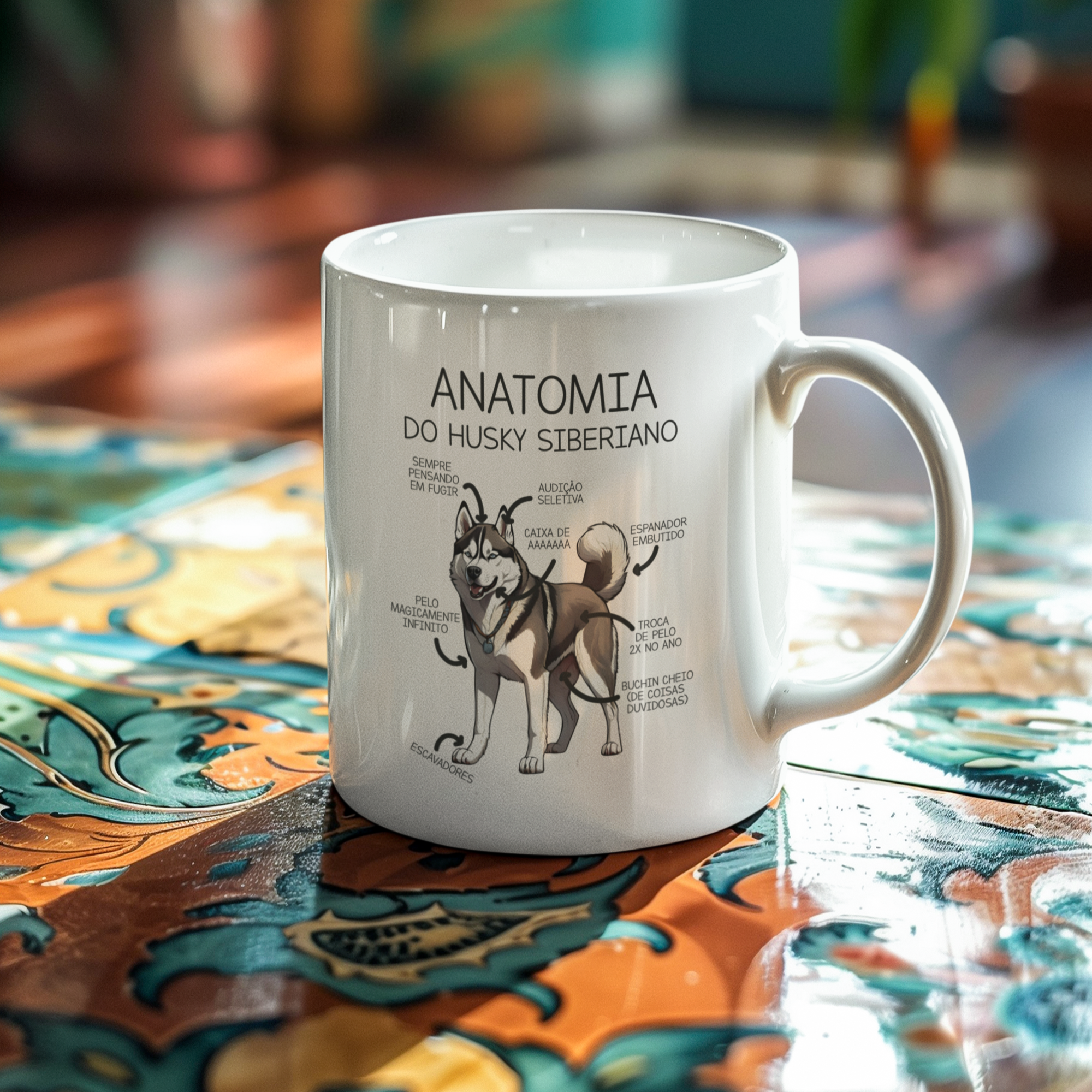 Caneca - Anatomia