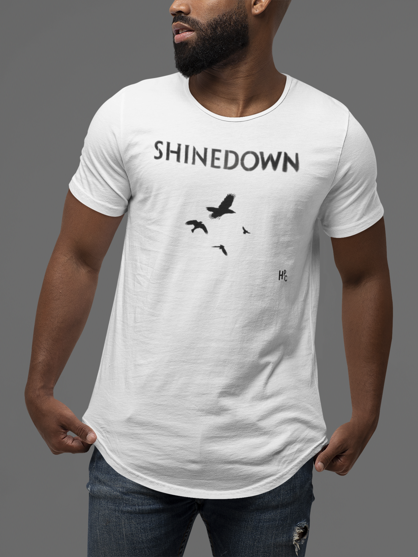 CAMISETA BANDA - SHINEDOWN BIRDS