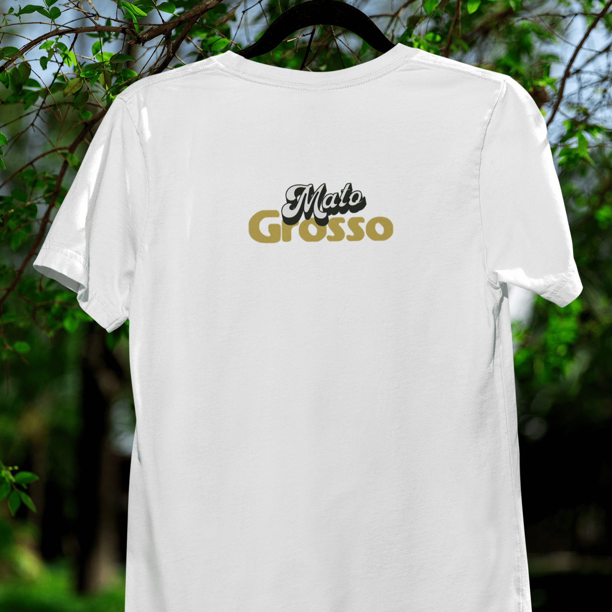 Mato Grosso - Serra do Roncador