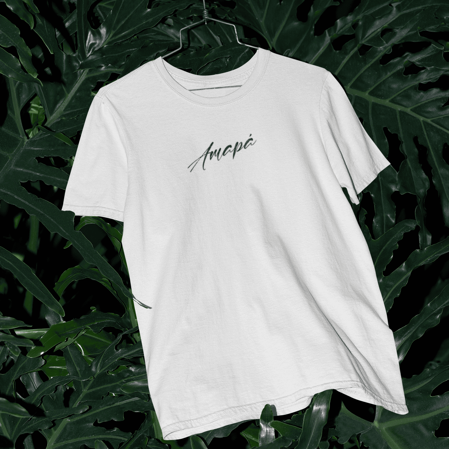 Amapá - Ilha de Santana